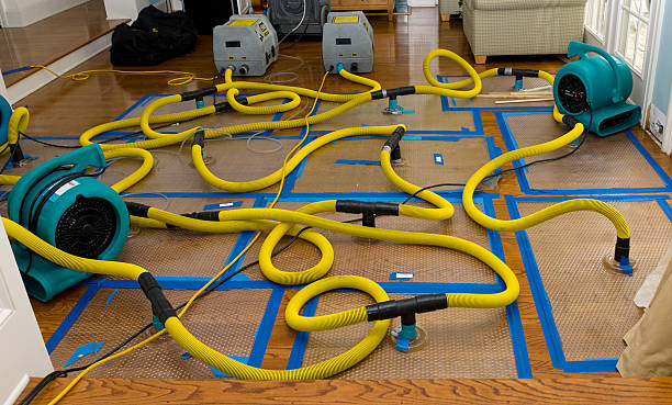 Professional Water Damage Repair technician working in Newport Coast, CA